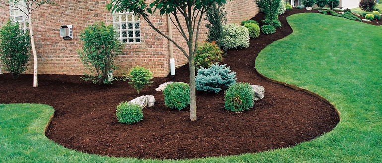 Organic Topsoil 